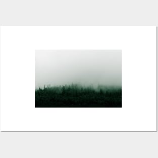 Misty Mountain Forest in the Rain Posters and Art